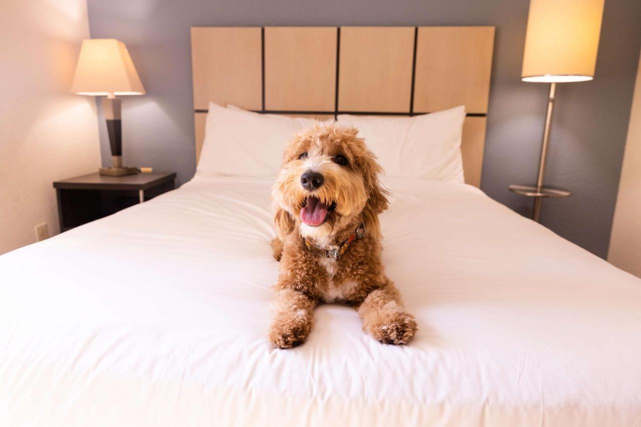 Sonesta Simply Suites Boston Braintree Ngoại thất bức ảnh